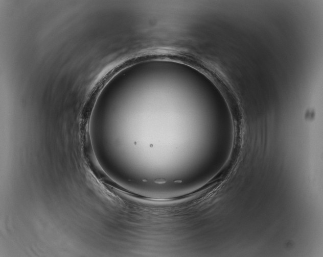 X0000116161404200911231354