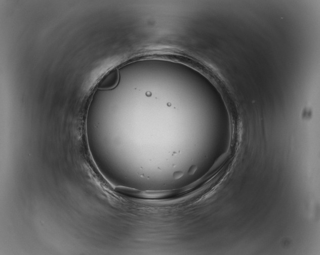 X0000116161405200911231354