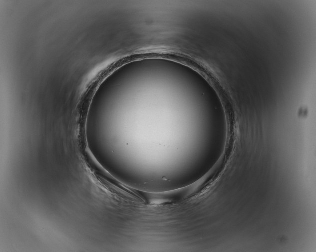 X0000116161406200911231354