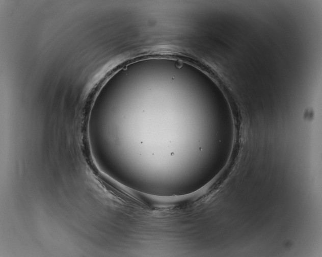X0000116161410200911231354