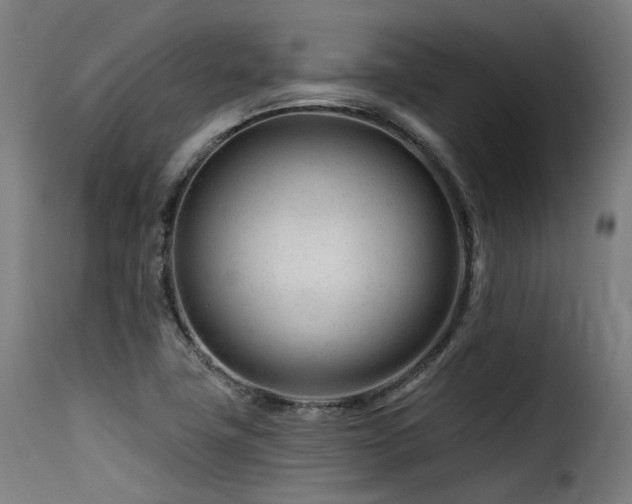 X0000116161411200911231354