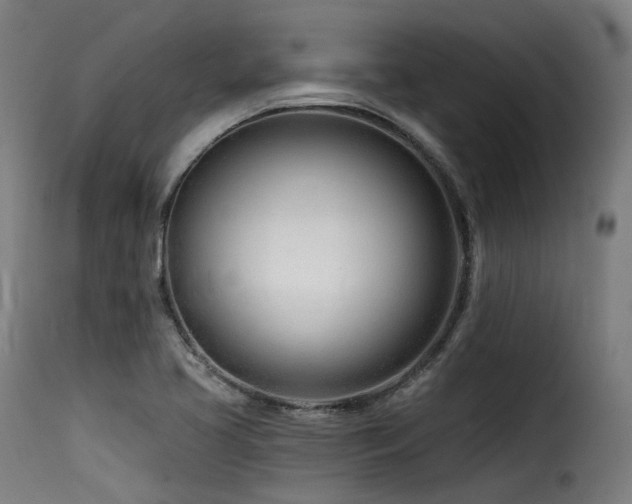 X0000116161413200911231354