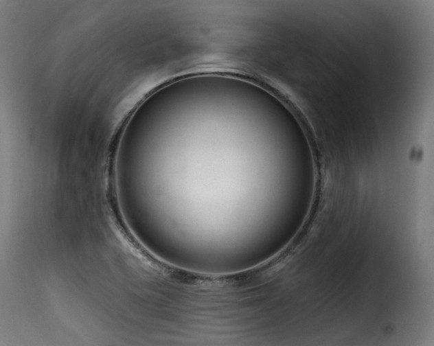 X0000116161415200911231354