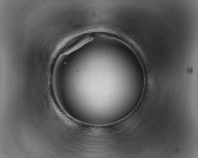X0000116161416200911231354