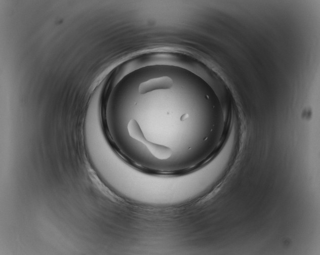 X0000116161417200911231354