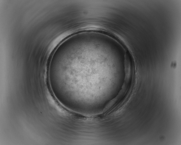 X0000116161418200911231354