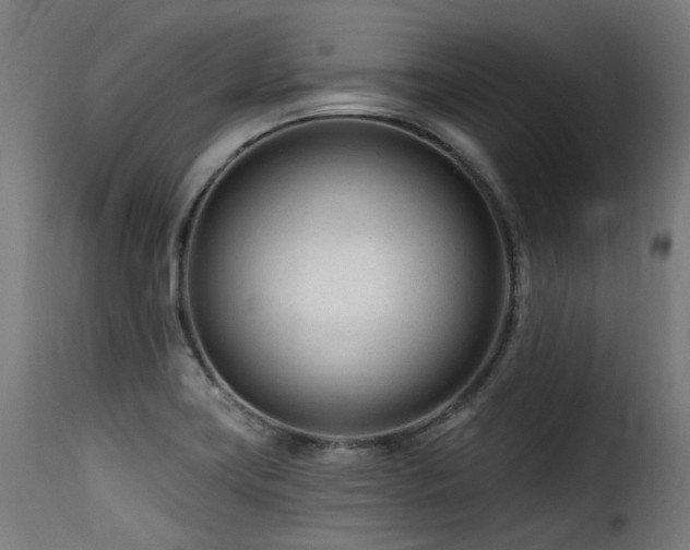 X0000116161419200911231354