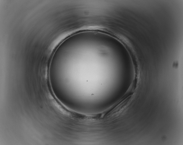 X0000116161420200911231354