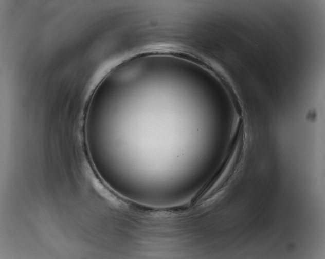 X0000116161421200911231354