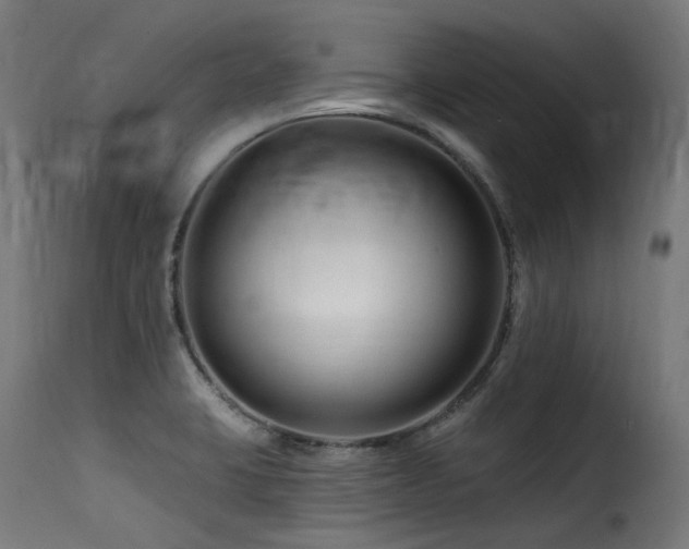 X0000116161423200911231354