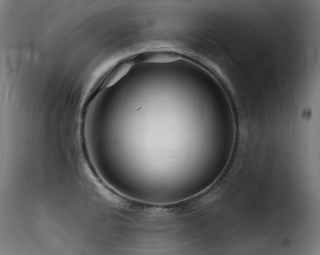X0000116161424200911231354