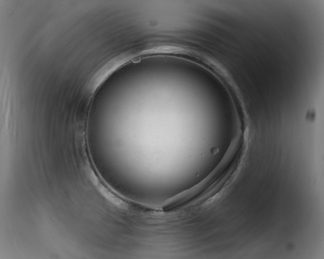 X0000116161425200911231354