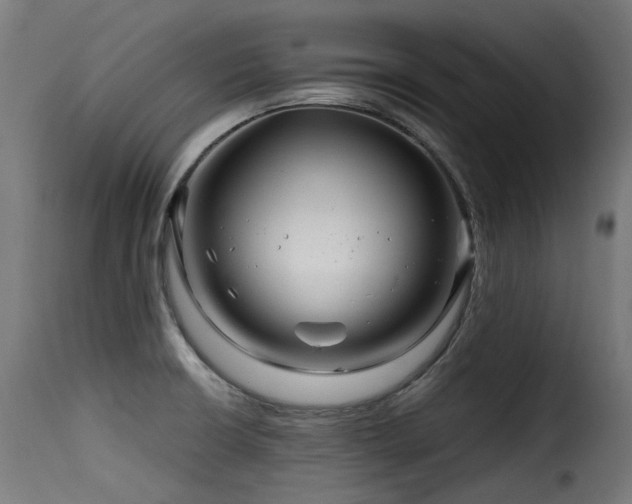 X0000116161426200911231354