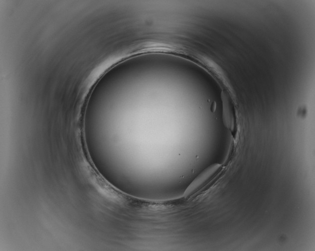 X0000116161427200911231354