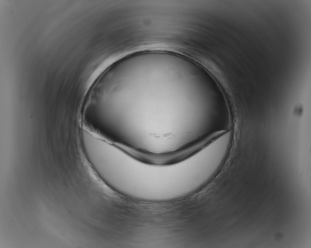 X0000116161428200911231354