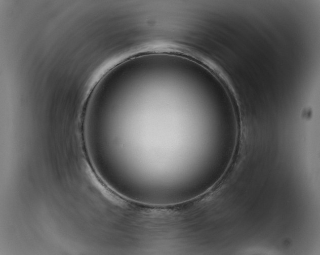 X0000116161429200911231354