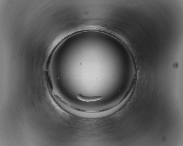 X0000116161430200911231354