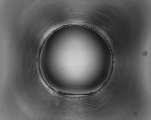 X0000116161432200911231354