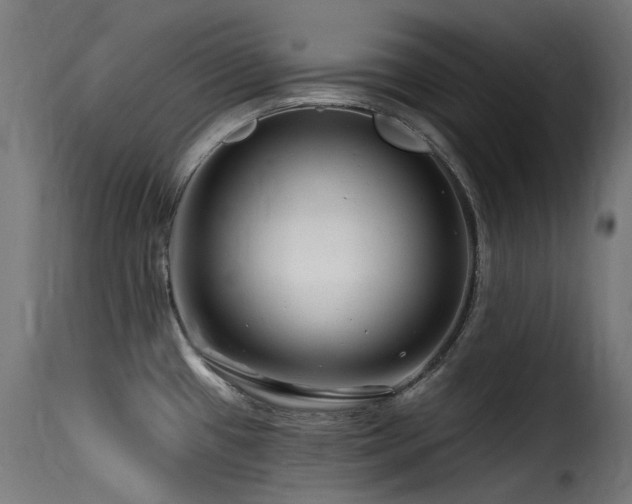X0000116161433200911231354