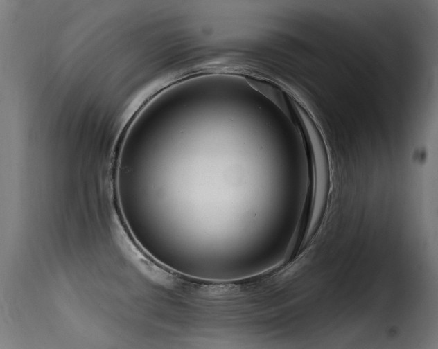 X0000116161434200911231354