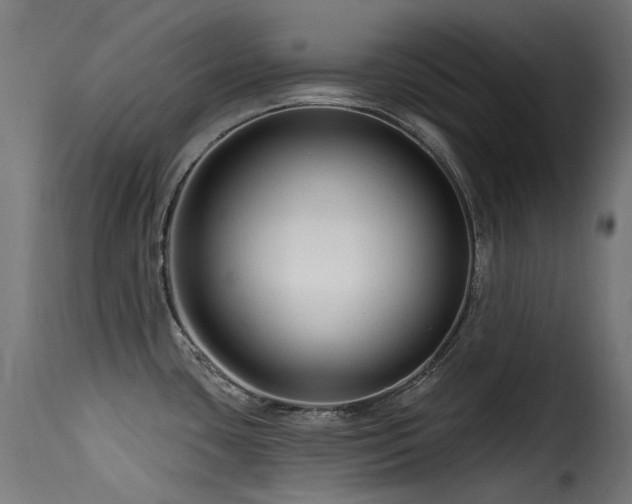 X0000116161435200911231354