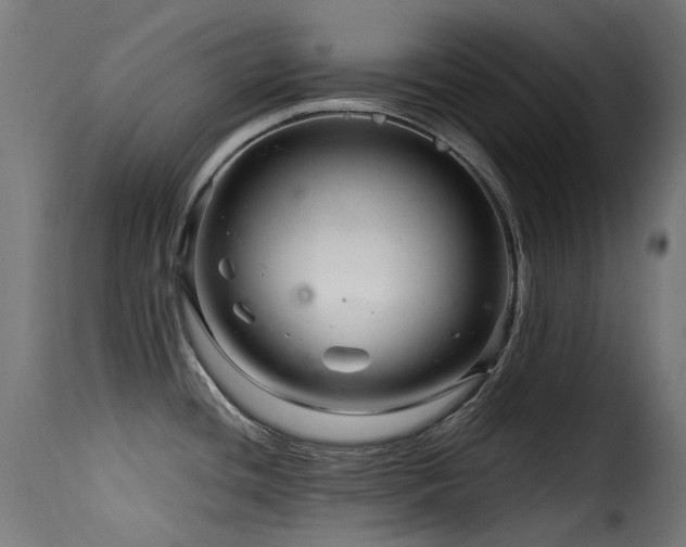 X0000116161436200911231354