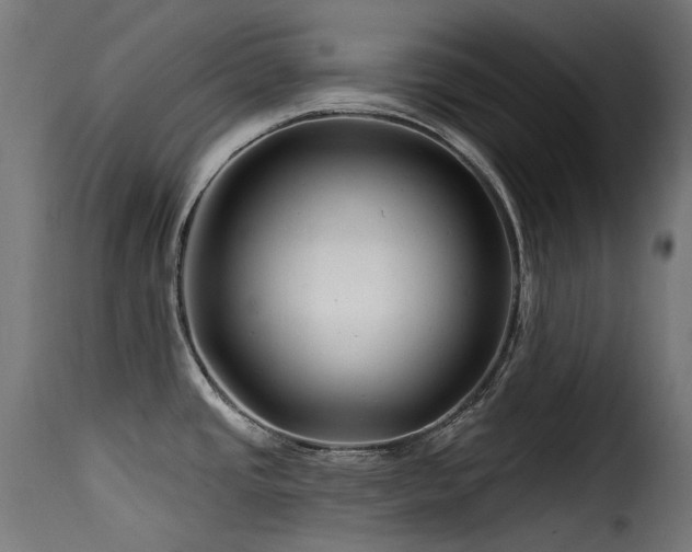X0000116161437200911231354