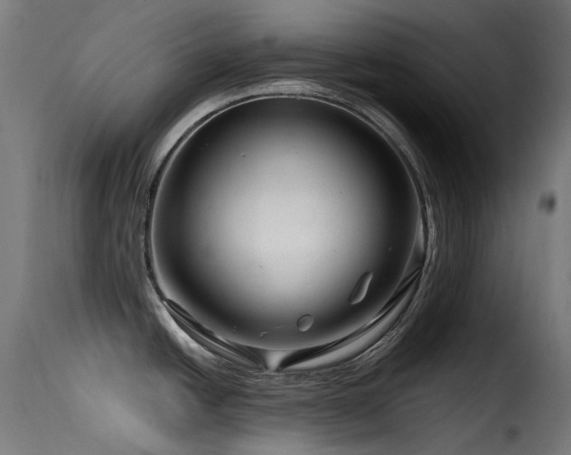 X0000116161438200911231354
