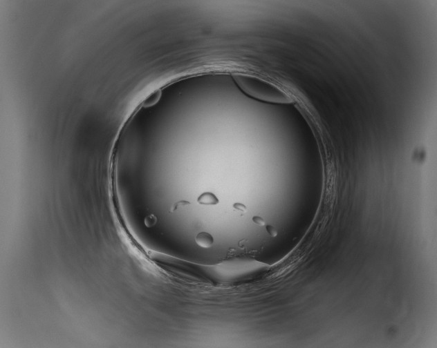 X0000116161439200911231354