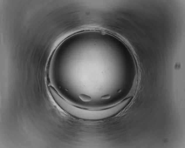 X0000116161440200911231354