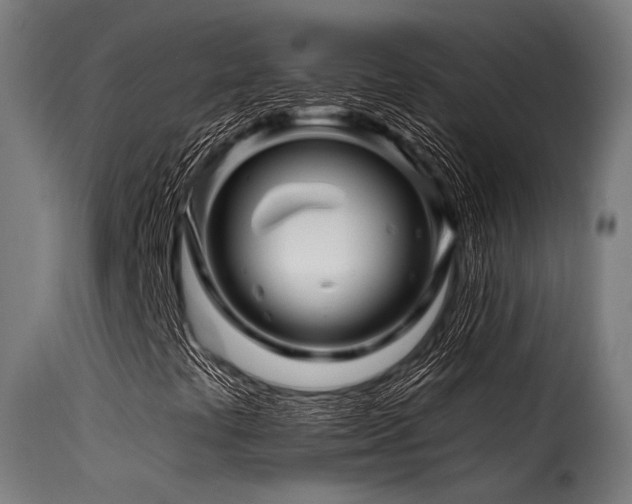 X0000116161441200911231354