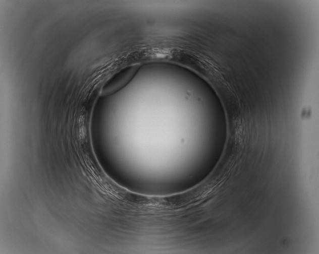 X0000116161442200911231354