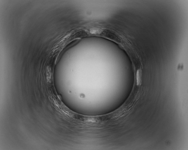 X0000116161443200911231354