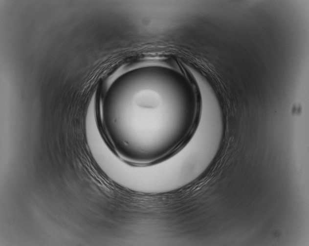 X0000116161444200911231354