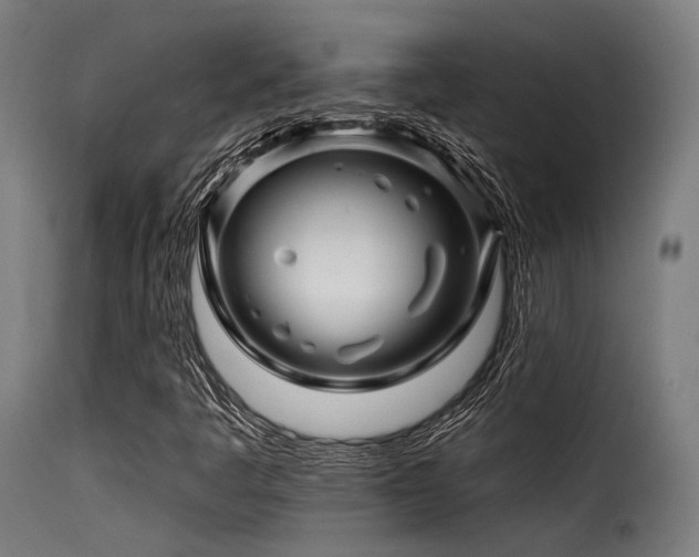 X0000116161445200911231354