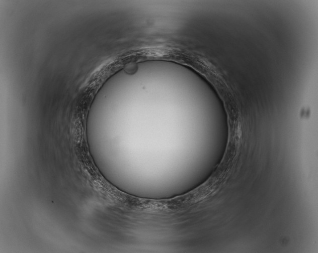X0000116161446200911231354