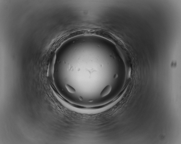 X0000116161447200911231353