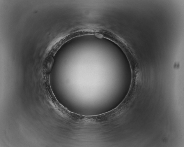 X0000116161448200911231353