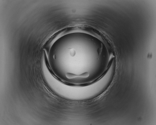 X0000116161449200911231353