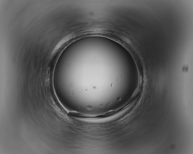 X0000116161450200911231353