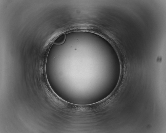 X0000116161451200911231353