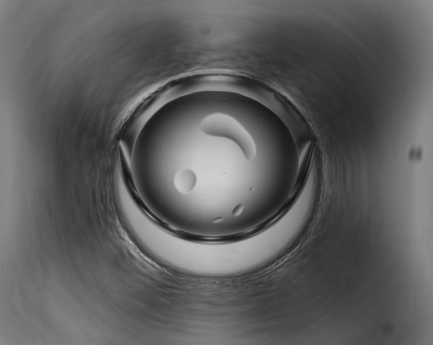 X0000116161452200911231353