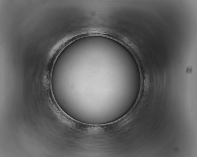X0000116161454200911231353