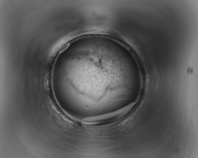 X0000116161455200911231353