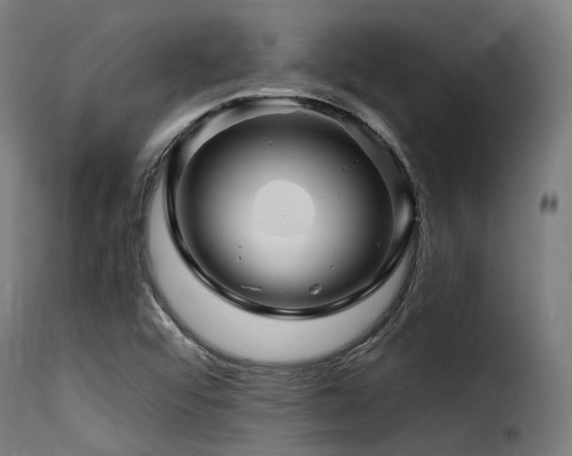 X0000116161456200911231353
