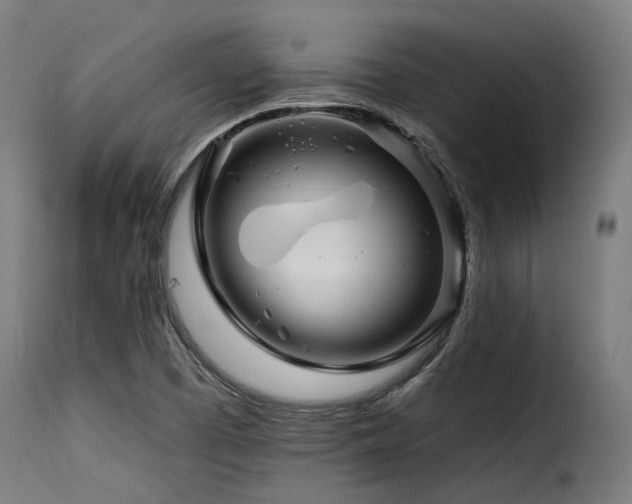 X0000116161457200911231353
