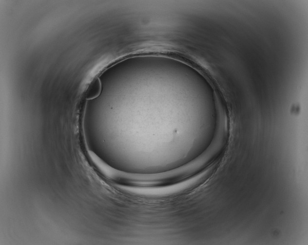 X0000116161459200911231353