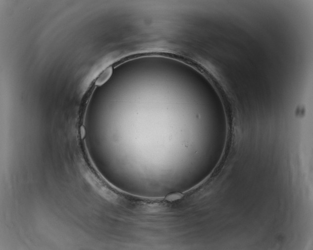 X0000116161460200911231353