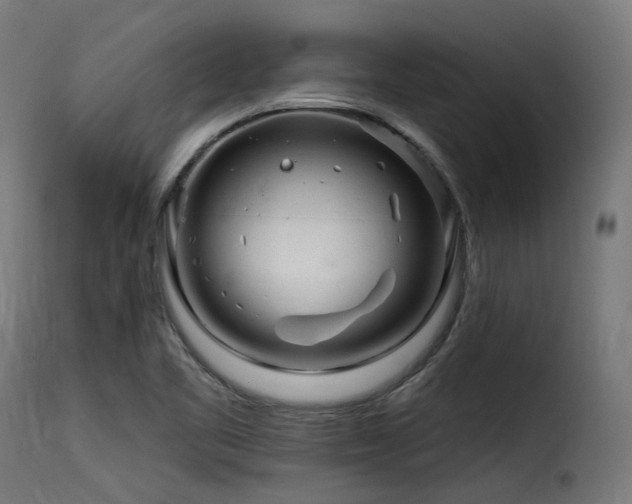 X0000116161461200911231353