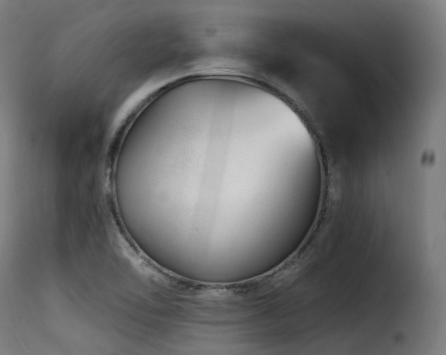 X0000116161462200911231353